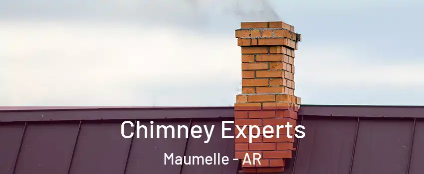  Chimney Experts Maumelle - AR