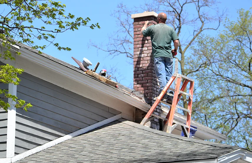 Chimney & Fireplace Inspections Services in Maumelle, AR