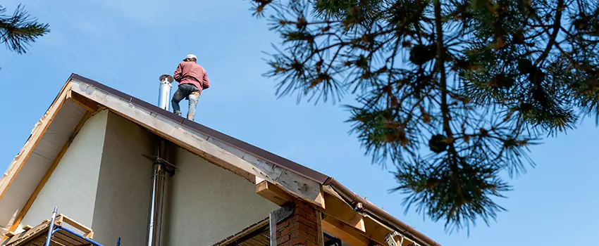 Birds Removal Contractors from Chimney in Maumelle, AR