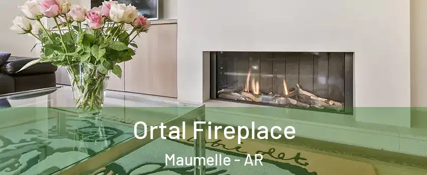  Ortal Fireplace Maumelle - AR